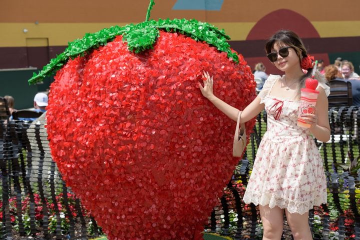 PHOTOS: 48th annual Troy Strawberry Festival