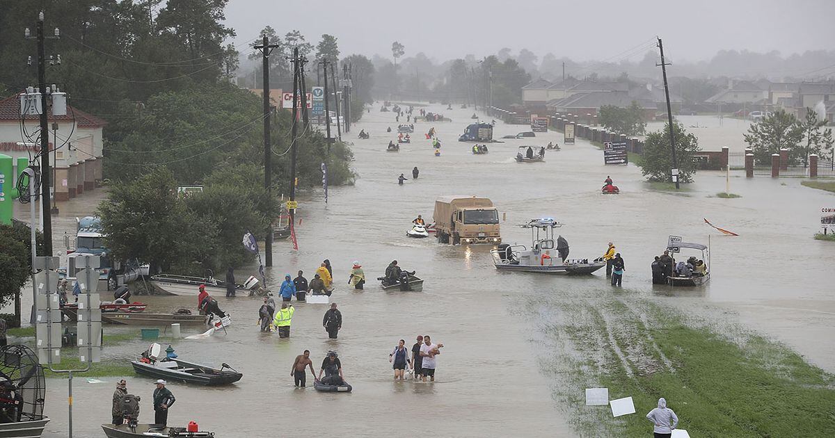 Sandra Bullock Donates 1m To American Red Cross For Harvey Relief