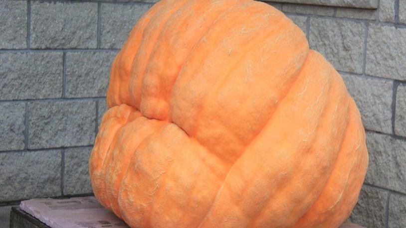A Tennessee farmer grew a 910-pound pumpkin, then used it as a boat. But when he tried to paddle away, he sank.