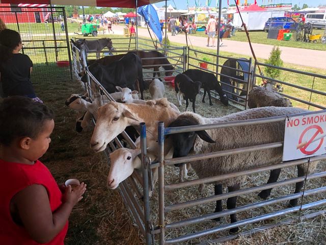 Scenes from the Montgomery County Fair