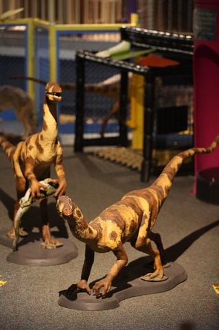 PHOTOS: Boonshoft Museum of Discovery reopens with old favorites and rarely seen artifacts from the collection