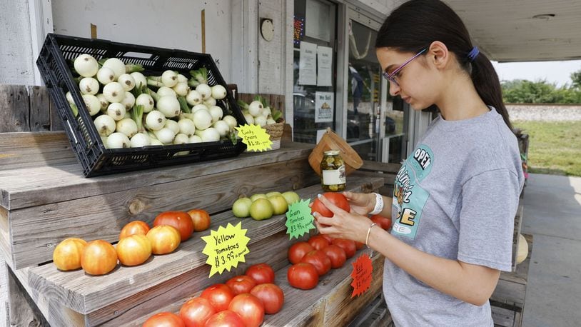 Sophie Griffith, 15, whose parents own Aimee's Produce in Madison Twp., checks the condition of the tomatoes. The stand opened last month and business has been "good," said Nancy Griffith, one of the owners. NICK GRAHAM/STAFF