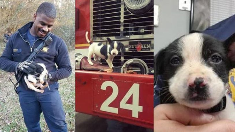 Firefighter Patrick Harrison adopted a puppy that rescue workers in DeKalb County, Georgia, saved Saturday.