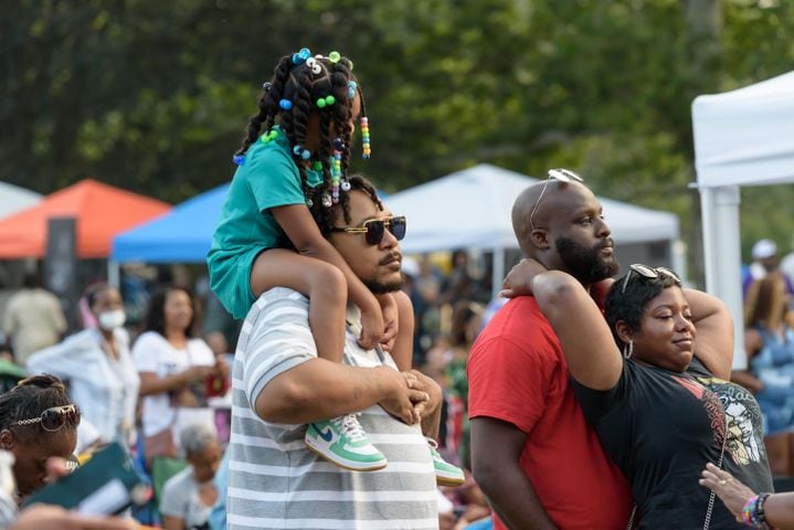 Photos Did We Spot You At The 17th Annual Dayton African American Cultural Festival At Island 1782