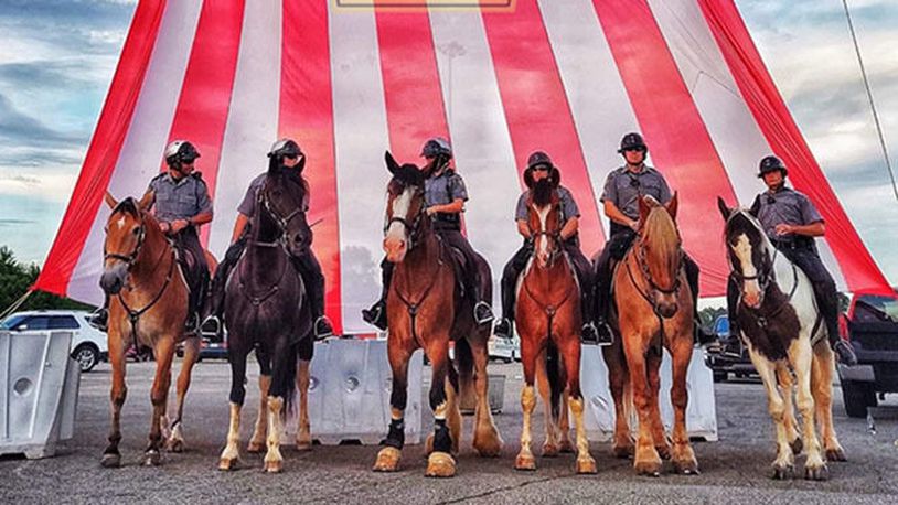 Pennsylvania State Police are looking for a few good horses to augment their patrol units.