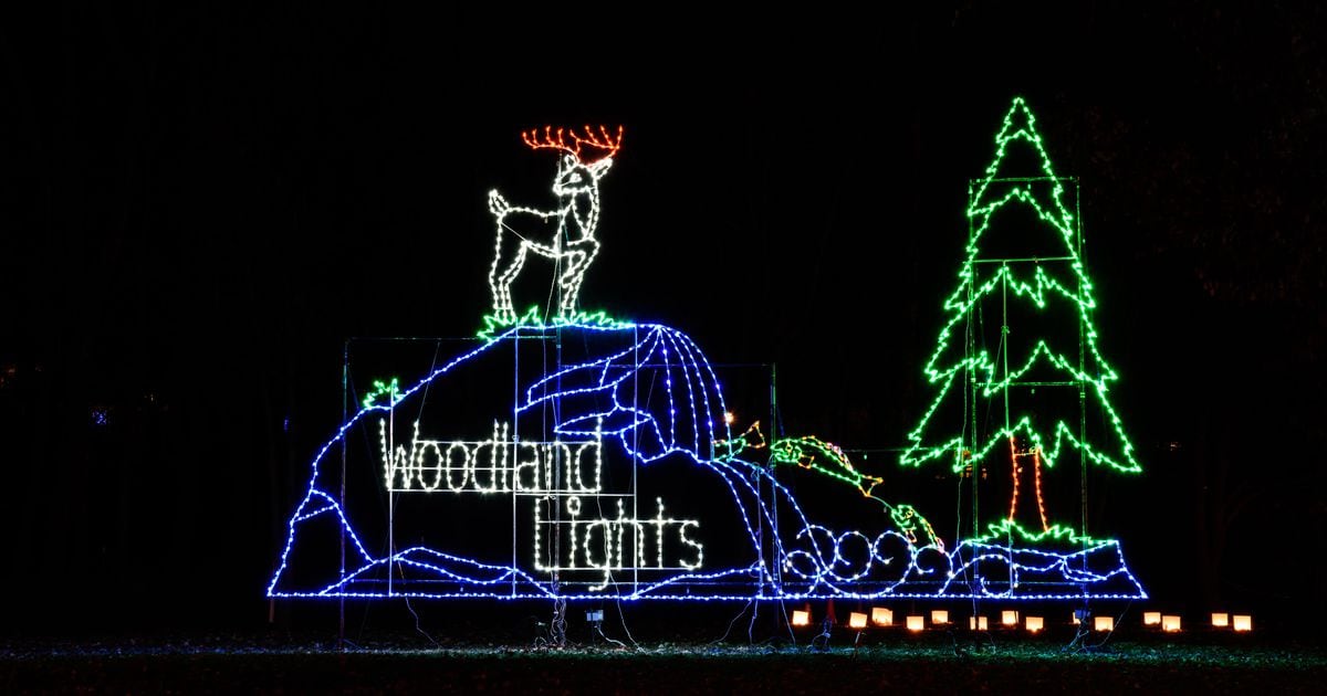 PHOTOS Woodland Lights in Washington Twp.